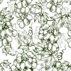 Seamless pattern with green grape branches. Hand drawn vector illustration.