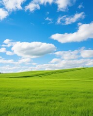 Obraz premium Green rolling hills under blue sky and white clouds