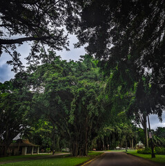 Hilo Hotel Hawaii Garden Park