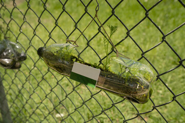 Recycled plastic bottle, hanging from a metal mesh, used as a flower pot with green plants growing inside