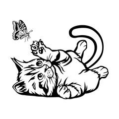 cat with a butterfly
