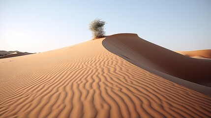 Solitary Tree on a Sand Dune in the Desert - obrazy, fototapety, plakaty