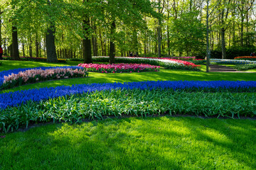 Keukenhof Gardens in Spring