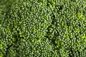 Texture of fresh broccoli cabbage as background