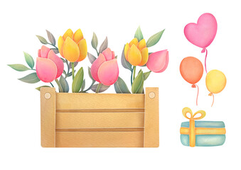 collection of watercolor isolated illustrations on transparent background. Garden wooden box with spring flowers, tulips, gift box, balloons. happy birthday composition.  Springtime, summertime set