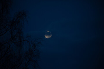 The moon in the evening sky in a dark sky. Soft selective focus. Artificially created grain for the picture