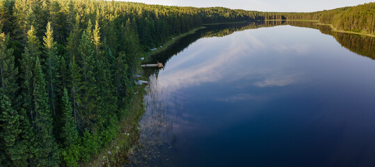 Aerial panoramic view of a small calm northern lake that is surrounded by spruce trees. The morning...