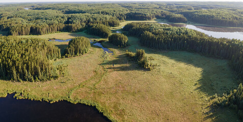 Aerial panoramic view of a large coniferous boreal forest with small lakes and areas of marsh. An...