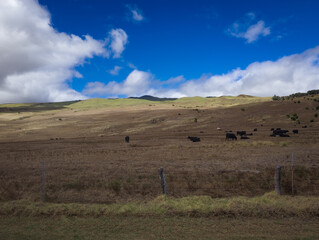 Mountains of Big Island Hawaii Kona