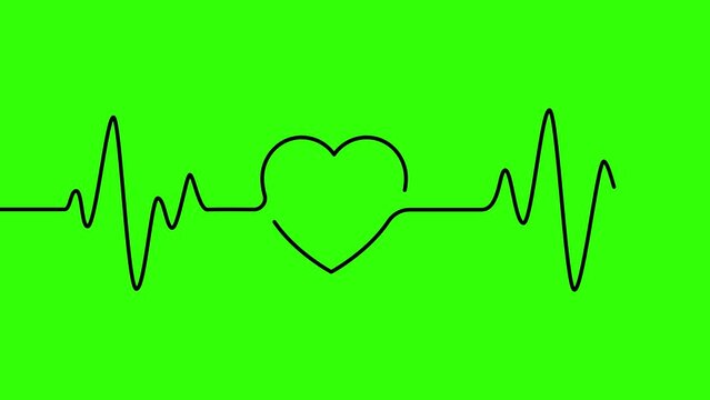 Heart beat line art in black against green screen animation forming heart in heartbeat lines. 4k animations. Royality free.
