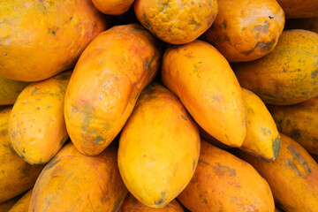 Heap of papaya tropical fruit, stacked of papaya background