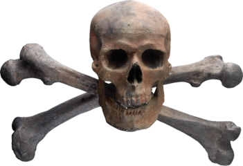 LAYER-LAB_0510183858_LC