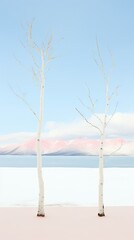 Bare white trees stand against a backdrop of snow-covered mountains and sky