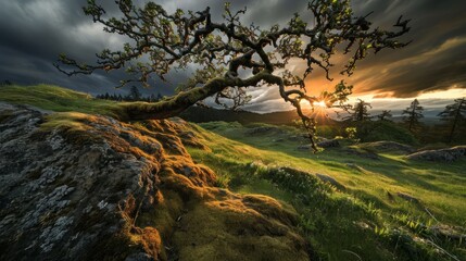 Sunlight coming through an impending storm. 