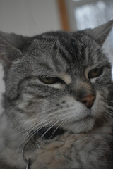 Camping Station Chêne Rouge 7 Au 12 Janvier 2024