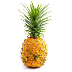 Pineapple isolated on a white background