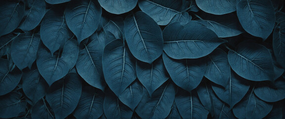 Macro leaf texture patterns in deep dark pacific blue color botanical background, wide banner size - obrazy, fototapety, plakaty