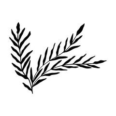 Abstract leaves. Hand drawn black plants. Vector foliage silhouettes. Natural organic ornament.