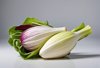 Endive on a white background with space for text