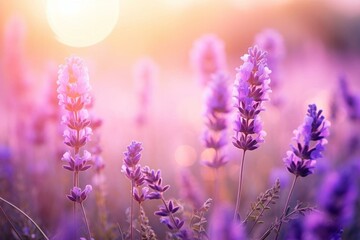 Vibrant lavender flowers against soft blurred backdrop. Serene morning scene. Generative AI