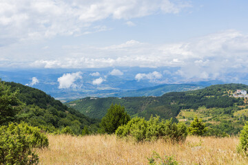 Scenic summer nature landscape with lush greenery and blue skies with clouds.