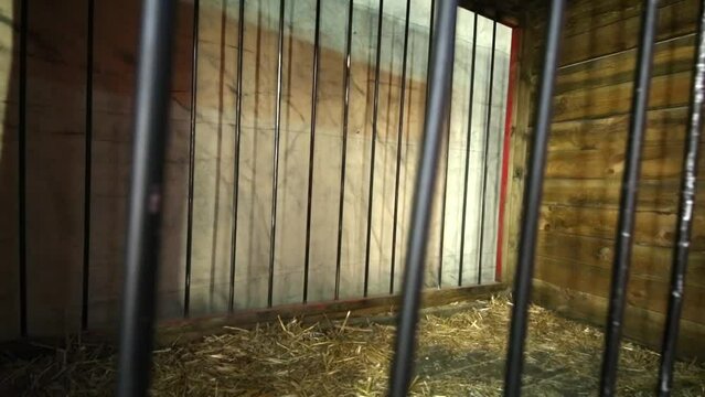 Empty cage on wheels for animals with gold ornament in circus.