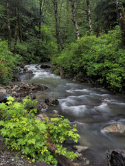 Stream, Middle Fork Snoqualmie River