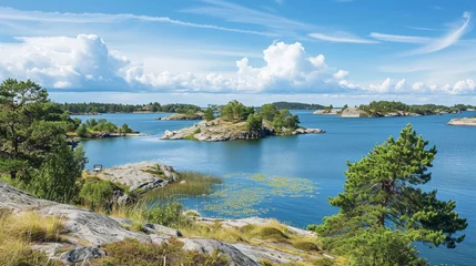 Foto op Aluminium Archipelago on the Baltic Sea coast in Sweden. Generative Ai © Witri