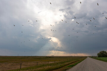 Storm Clouds Canada