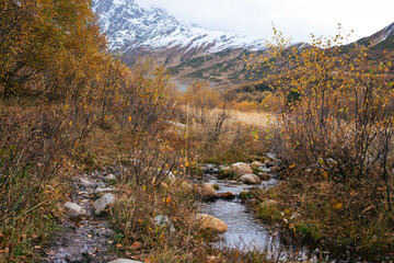 Fototapeta na wymiar Mountain Stream Amidst Autumn Foliage. A babbling brook cuts through a vibrant autumnal landscape with a backdrop of a snowy mountain.