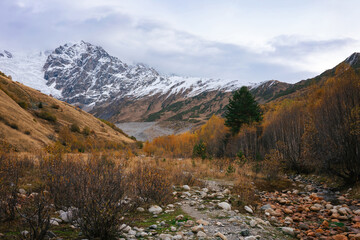 Fototapeta na wymiar Alpine Splendor in Autumn. A rocky trail meanders through golden aspens leading the eye to the imposing snow-covered mountain face