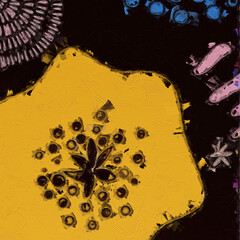 Oil paintings and various flowers, insects, Paisley geometric butterflies, chrysanthemums,...
