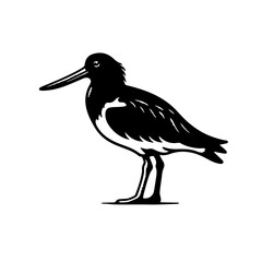 Australian pied oystercatcher Vector Logo Art - obrazy, fototapety, plakaty