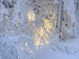 winter landscape in the mountains