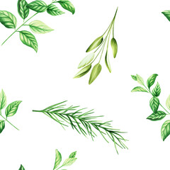Watercolor seamless pattern with aromatic herbs. Illustrations of fresh rosemary, mint, sage isolated on background. Detail of beauty products and botany set, cosmetology and medicine. For design