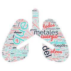 Drawing of lungs made with words about heavy metals and fireworks in spanish
