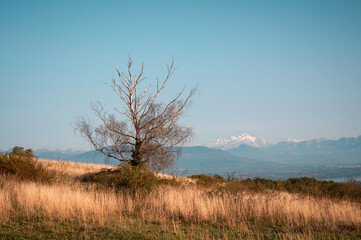 Fototapeta premium Vue sur les alpes depuis le mont Mourex, Ain ,France