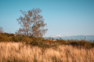 Fototapeta premium Vue sur les alpes depuis le mont Mourex, Ain ,France
