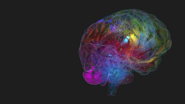 Colored pulsating signals and impulses in the nerve cells of a transparent appearing and rotating human brain - 3d illustration