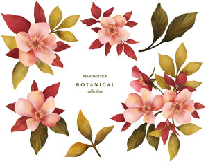 Hand drawn floral elements. Flowers and leaves. Watercolor illustrations set. Botanical collection