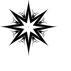 Fototapeta premium black and white ornament