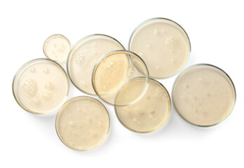 Petri dishes with color liquid samples on white background, top view