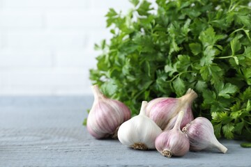 Fresh raw garlic and parsley on grey wooden table, space for text