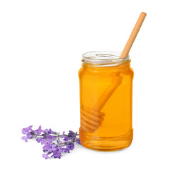 Honey in glass jar, dipper and lavender flowers isolated on white