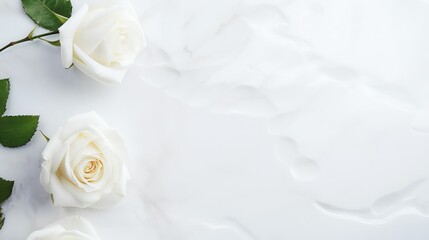 Obraz na płótnie Canvas floral white roses background illustration flowers nature, garden petals, beauty elegant floral white roses background