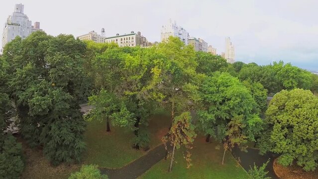 Riverside Park near dwelling houses at summer day. Aerial view