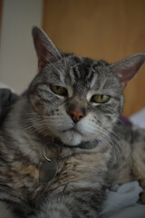 Camping Station Chêne Rouge 7 Au 12 Janvier 2024