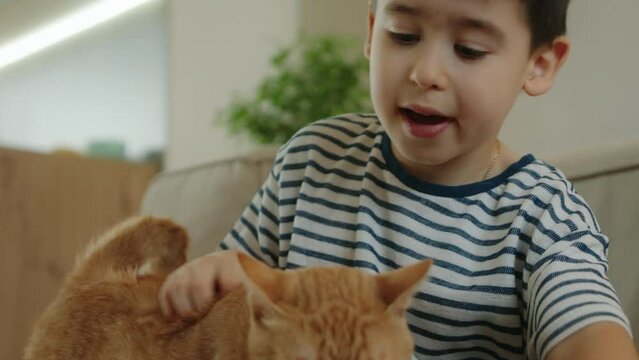 Little boy sitting and stroking ginger cat. Animal care concept.