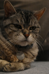 Camping Station Chêne Rouge 7 Au 12 Janvier 2024