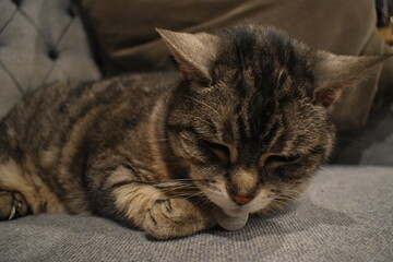 Camping Station Ch&ecirc;ne Rouge 7 Au 12 Janvier 2024